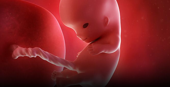 10 settimana di gravidanza